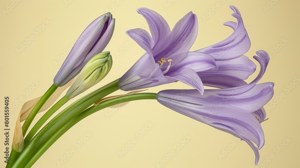   A tight shot of a purple blossom against a backdrop of white and yellow A green stem lies prominently in the foreground