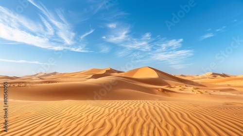 A vast desert with towering sand dunes under a clear blue sky