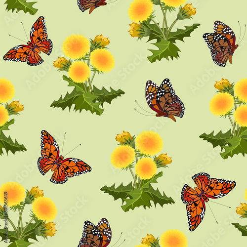 Background with butterflies and dandelions.Bouquets of yellow dandelions and bright butterflies in a color vector pattern.