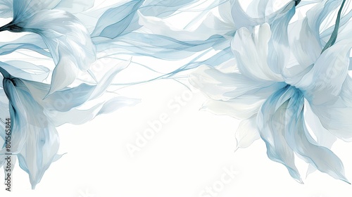   A white flower against a white background, softly blurred image of additional white flowers behind