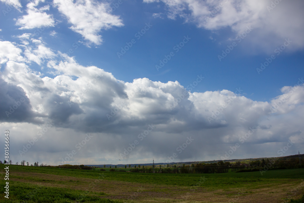 Landscape in summer with trees and meadows in bright sunshine Landscape in summer with trees and meadows in bright sunshine