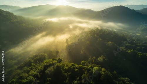 misty jungle rainforest from above in the morning tropical forest with sun rays and fog aerial view nature landscape wallpaper background