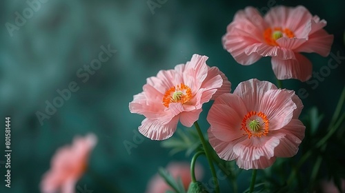   Pink flowers atop a green plant