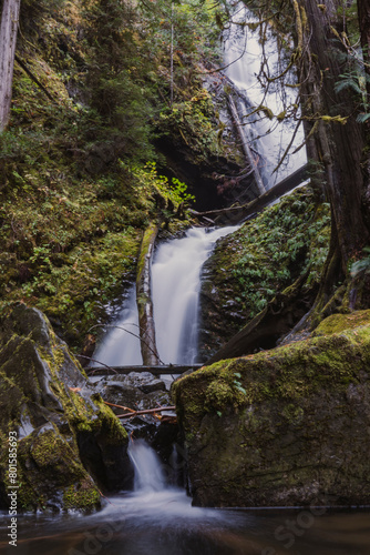 waterfall in the forest