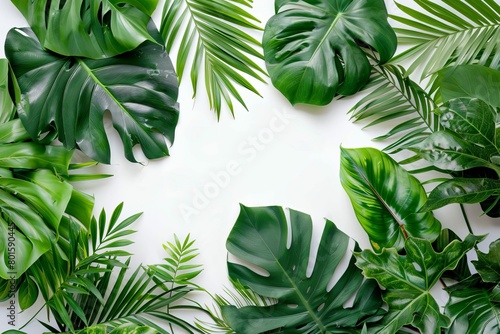 lush tropical green leaves on pristine white background nature mockup for product showcase flat lay photo