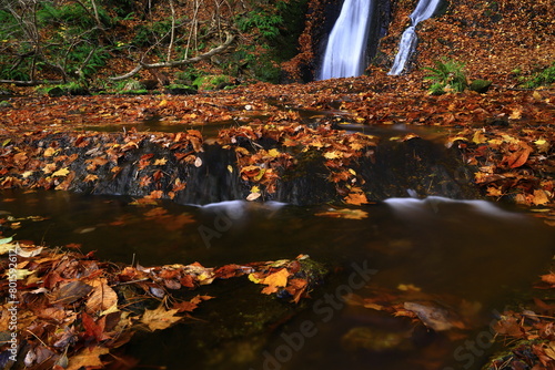 紅葉の滝 photo