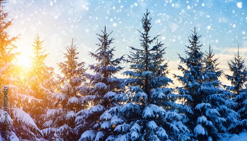 view of snow covered conifer trees and snow flakes at sunrise merry christmas s or new year s background photo
