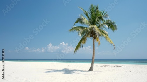 A palm tree stands on the sandy beach near the vast ocean, under a clear blue sky with fluffy clouds, adding to the beautiful coastal natural landscape AIG50
