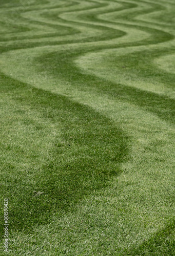 Neatly mown lawn with unusual wavy stripe. Photographed in springtime at Wisley garden, Woking, Surrey, UK.