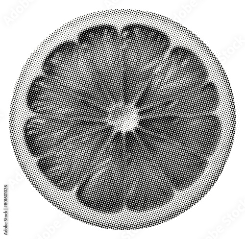 orange citrus slice isolated collage element cutout retro halftone grunge y2k dotted texture	