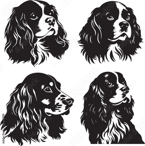 Cavalier King Charles Spaniel Vector Set