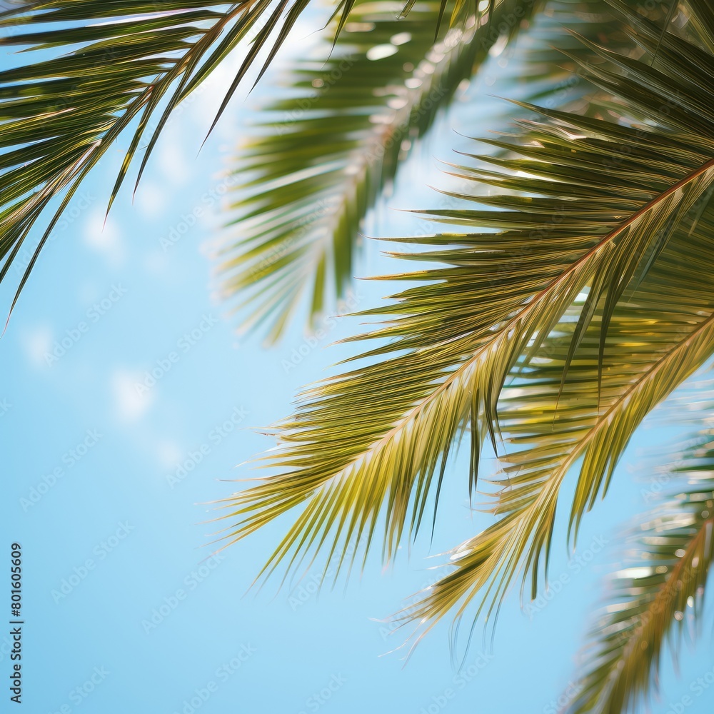 Palm leaves on blue sky background, close up, copy space