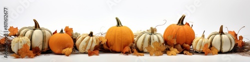 pumpkin border. autumn. Thanksgiving Day. Halloween. harvesting
