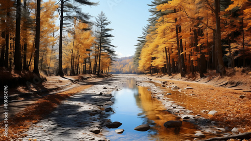 Colorful deciduous forests in the golden season. Autumn charm