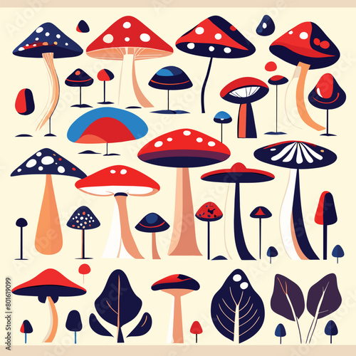 a set of simple mushrooms collection, vector illustration flat 2