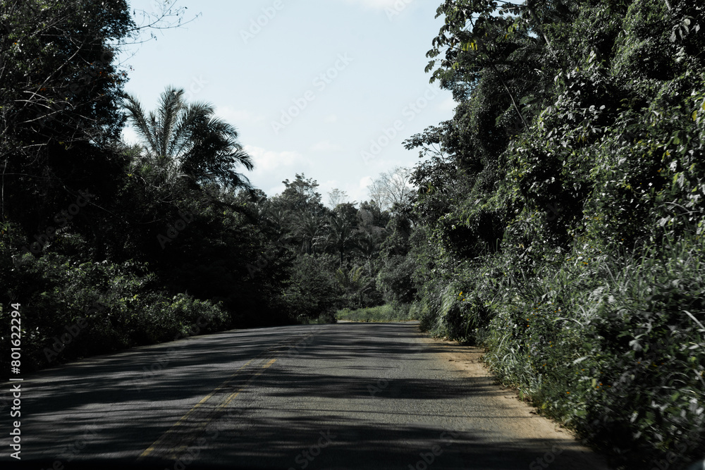 Obraz premium Asphalt road with tropical forest around. Mystery on the journey.