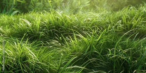thick green grass in the meadow Generative AI