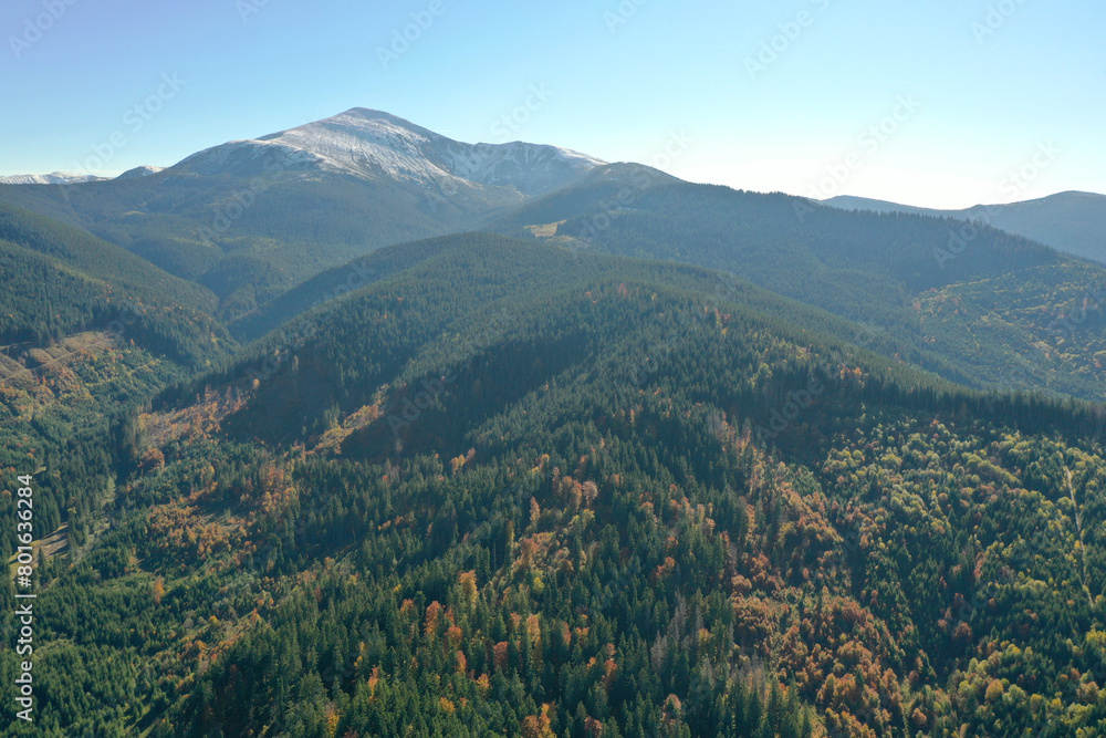 Beautiful mountains covered with forest on sunny day. Drone photography