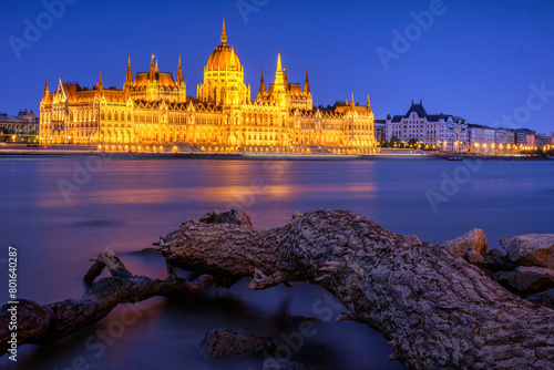 Long exposure shot of the illuminated Hungarian Parliament with the Danube River and a tree trunk hanging over the water in the foreground in Budapest, Hungary