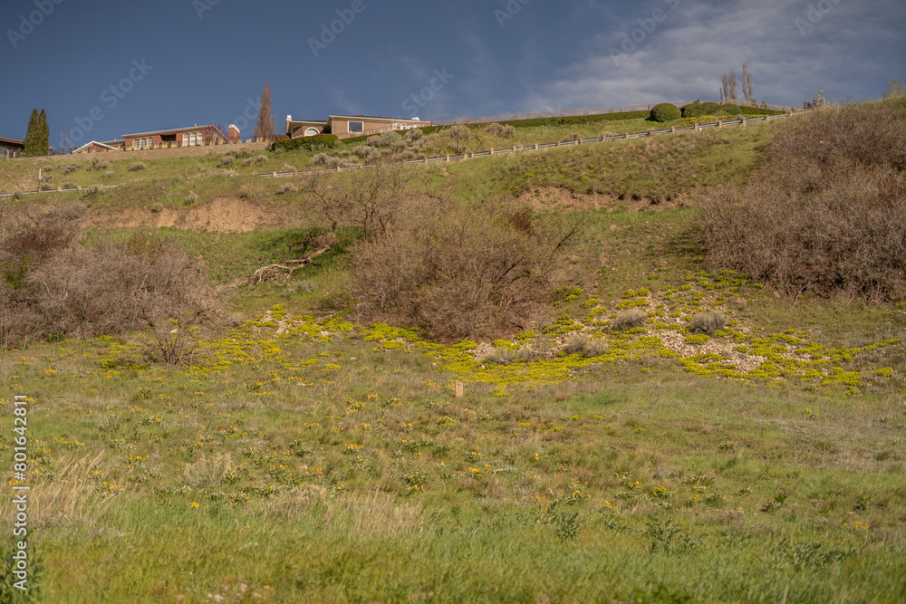 Grassy Spring Time Hills Salt Lake