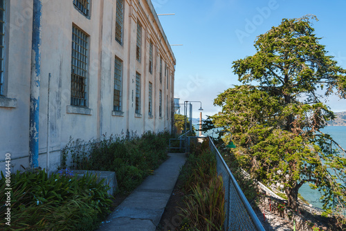 Alcatraz prison scene in San Francisco  USA. Aged building with barred windows  pathway with chain link fence  and greenery. Nature and history contrasted.