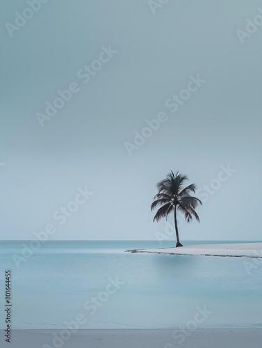 palm tree small island middle ocean bleak tone enormous silver fallout city best modern august unconnected smoothened hazy memory archipelago photo
