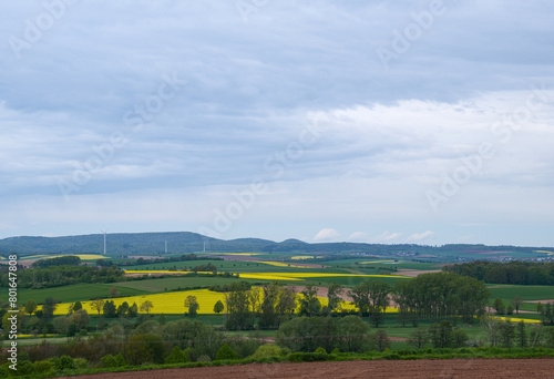 a beautiful view across landscape and yellow blooming files of rape in Duderstadt, Germany
