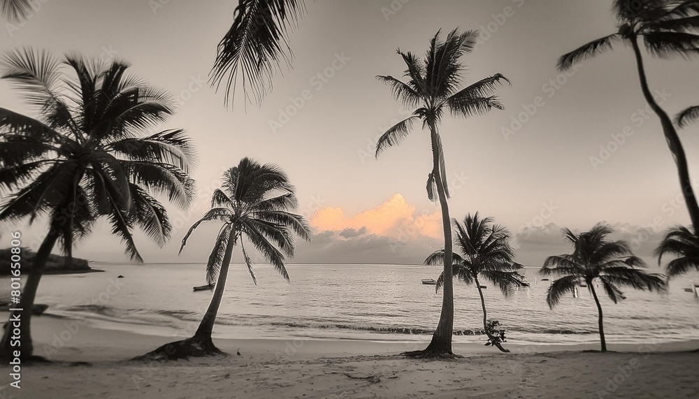 trees on the beach sketch landscape with palm tree vacation on tropical beach black and white