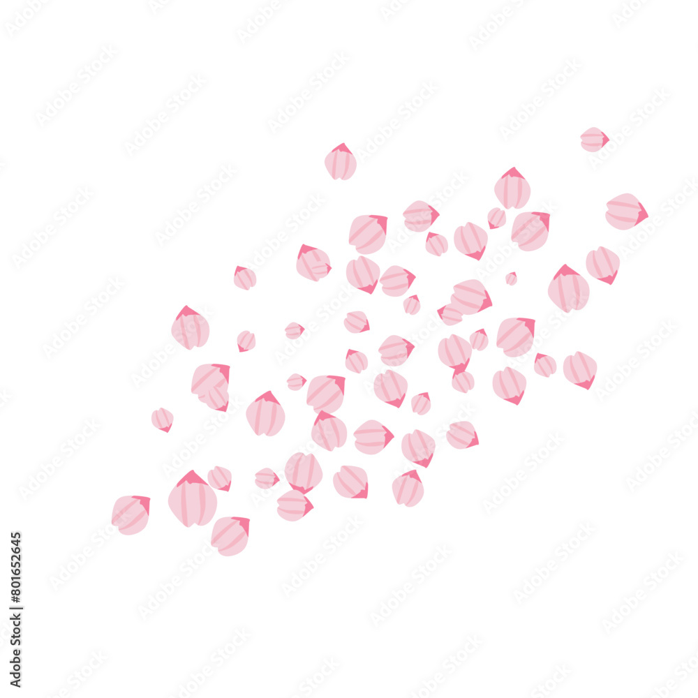 Sakura petals illustration Sakura petals illustration