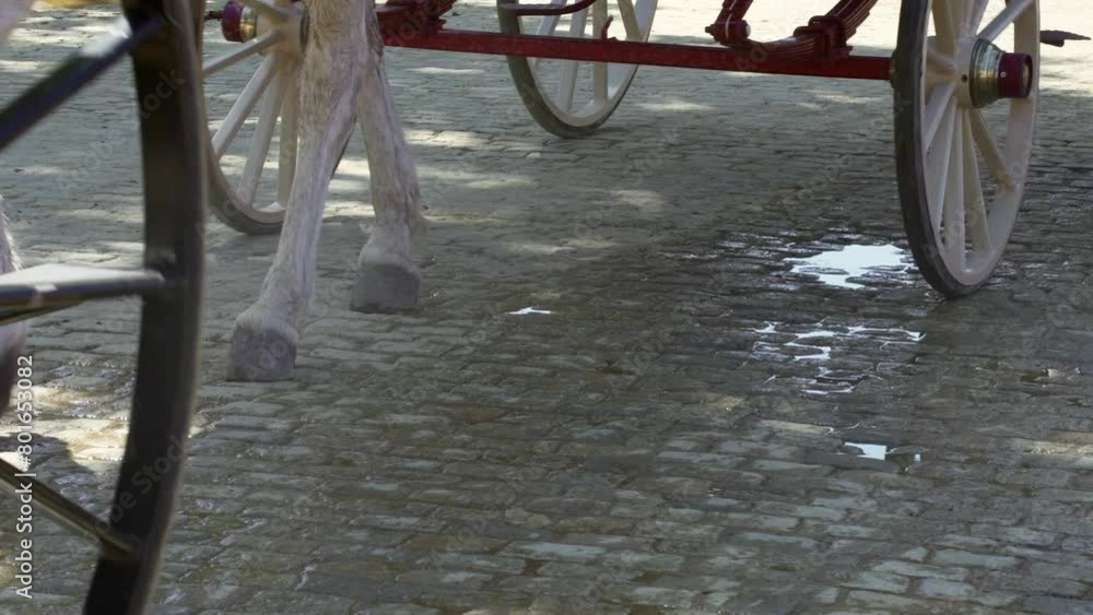 Feria de Seville: horses, carriage, wheels, low angle, flamenco dress