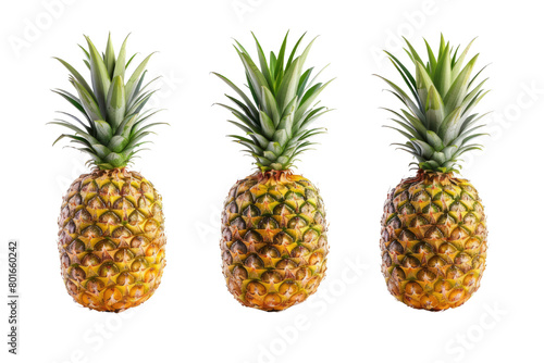 Three Pineapples with a translucent background. The pineapple is green but ripe and fresh.