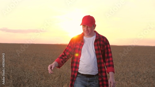 Happy modern male farmer going at sunset autumn dry wheat field closeup. Proud man smiling walking at agriculture harvest edible plant growth cultivation at sunlight relaxing with positive emotion © DREAM INSPIRATION