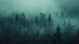 Dark green fir trees enveloped by fog, offering a moody and mystical forest landscape.