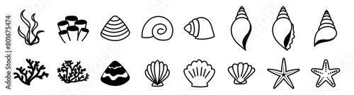 sea, shell, starfish, beach, clamp, mussel, coral, reefs, i