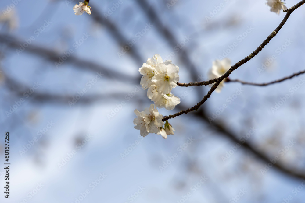 20240501 upload 20240501 upload