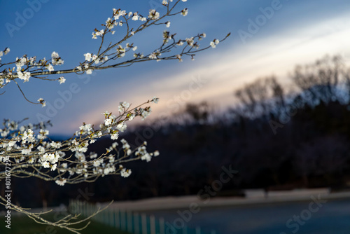 Wallpaper Mural 20240501 upload Torontodigital.ca