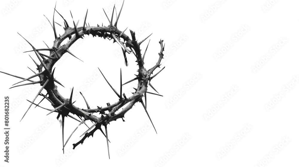 Crown of Thorns Crown of Thorns