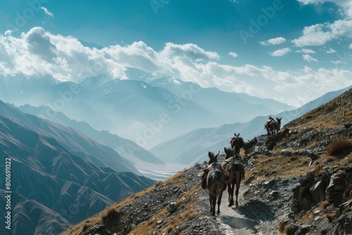 Hooves on High: A Herd of Horses Trekking along a Rocky Mountain Pathway.