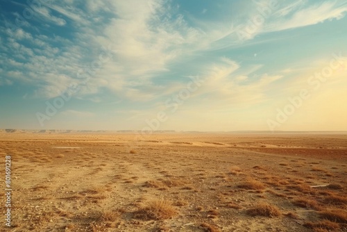 Canvas of Tranquility: A Vast Open Field Basking under a Clear Blue Sky and Fluffy Clouds. photo