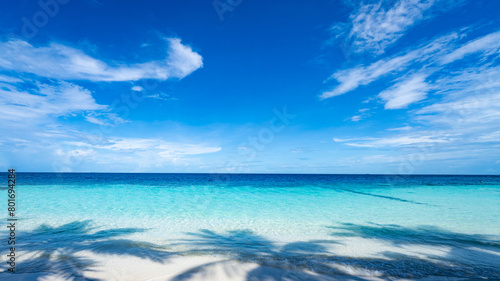 White sand, blue sky and sea, palm trees shadow on maldives beach © Arnaud