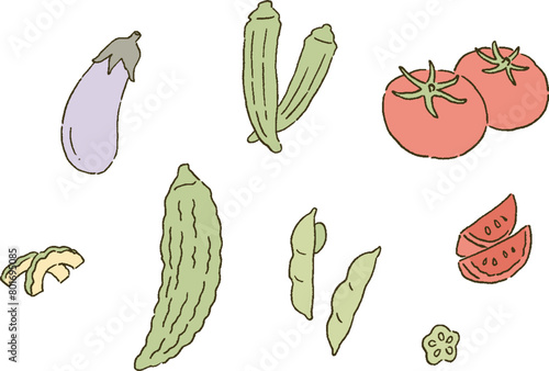 シンプルなタッチ　おいしそうな夏野菜のイラストセット