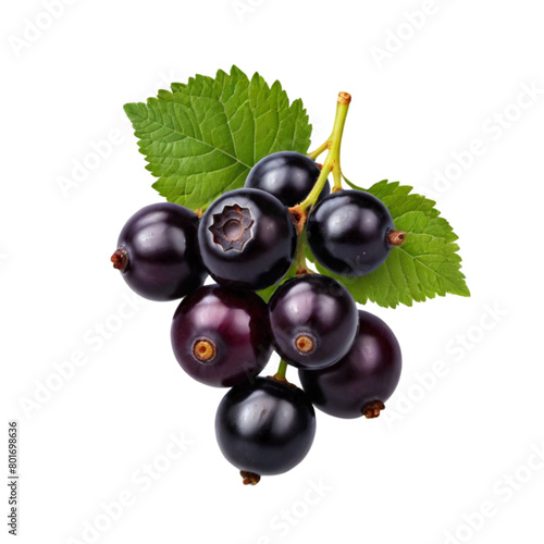 Blackcurrant black currant cassis isolated on transparent background photo