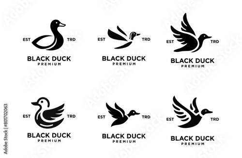 Black duck silhouette logo icon design illustration