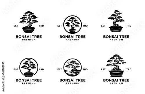 Bonsai logo icon design vector illustration