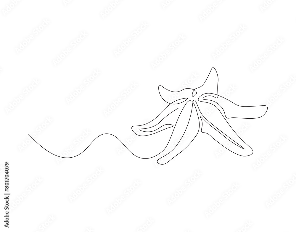 Continuous line drawing of starfish. One line of starfish. Marine animal concept continuous line art. Editable outline. Continuous line drawing of starfish. One line of starfish. Marine animal concept continuous line art. Editable outline.