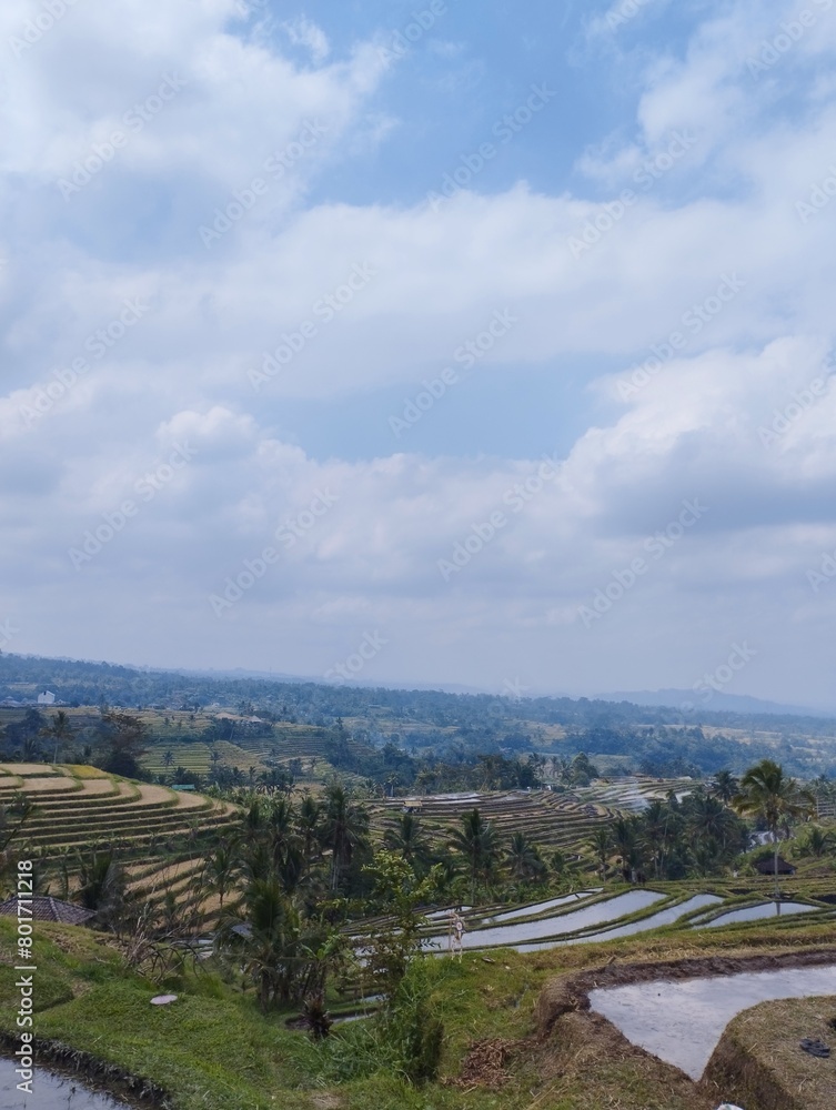 Obraz premium Bali Island : view from the top of the hill