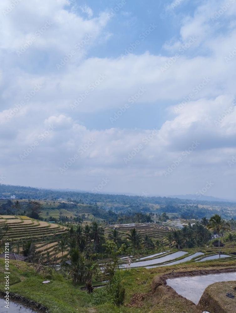 Bali Island : view from the top of the hill