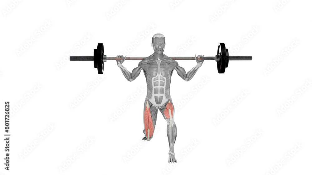 Barbell front lunge - front view - position 2 Barbell front lunge - front view - position 2