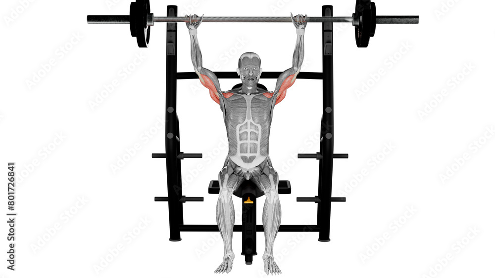 Dumbbell shoulder press - front view - position 2 Dumbbell shoulder press - front view - position 2