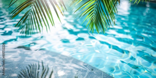 Sunlit tropical palm leaves casting shadows over a clear blue swimming pool.
